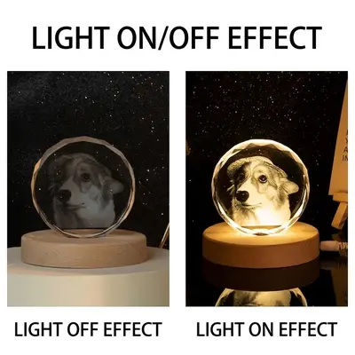 Crystal LED Lamp